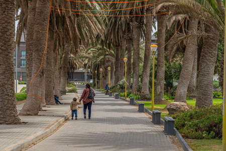 SWAKOPMUND, NAMIBIA - JAN 11, 2020: Promenade in Swakopmund with palm trees and people have rest at the walkingwayのeditorial素材