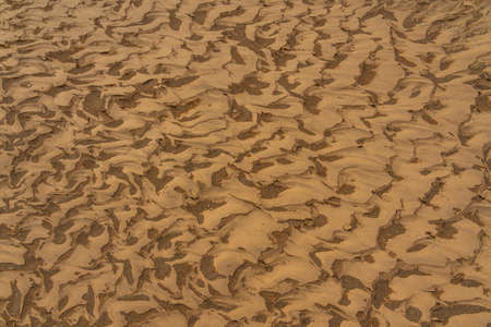 Rippled golden brown desert sand Texture, background from Sossusvlei