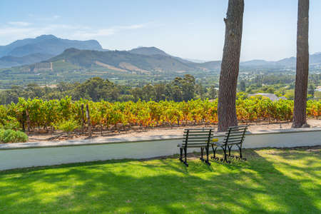 View with two empty chairs over the vinyards of Franschhoek, South Africaの写真素材