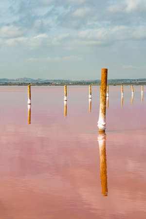 Torrevieja Pink Lake at Natural Park de Las Lagunas de La Mata e Torrevieja, Alicante province,...
