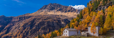 View out of the Bernina Express train of Rhaetian Railway Line on an autumn day, background the Bernina mountainの写真素材