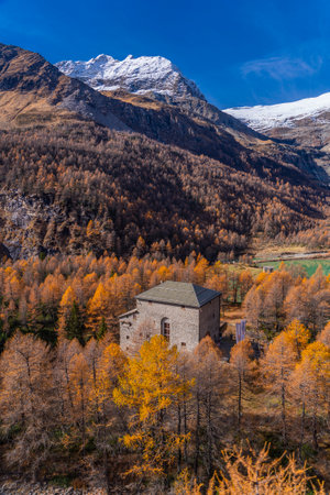 View out of the Bernina Express train of Rhaetian Railway Line on an autumn day, background the Bernina mountainの写真素材