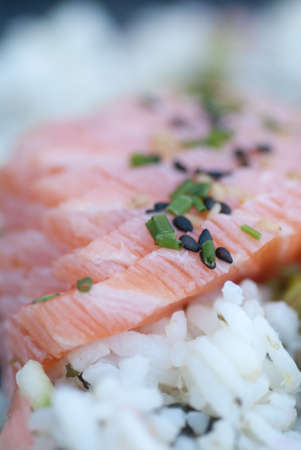 Shashimi with rice closeup Japanese Foodの写真素材