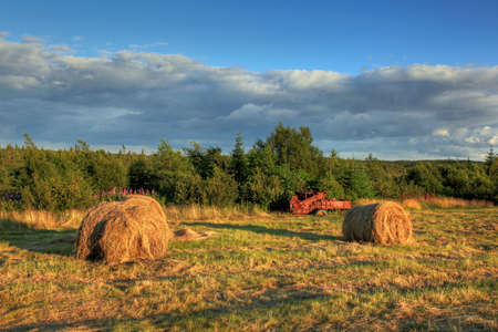 Forgotten hay bales in autumn. の写真素材