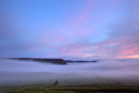 Foggy morning at sunrise.の写真素材