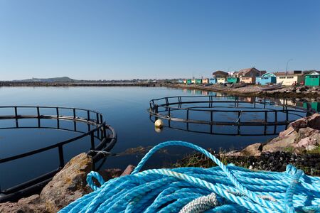 French fishing island of Saint Pierre.の写真素材