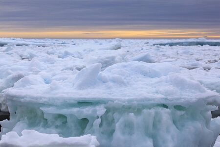 Sea ice along the Newfoundland coast in spring.の写真素材