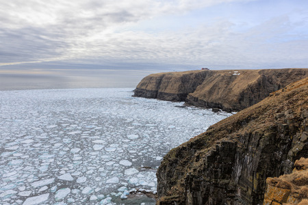 Cape St. Marys, Newfoundland Ecological Reserve with ocean ice.の写真素材