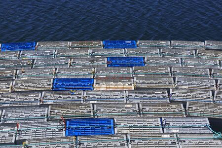 Commercial Lobster storage pensの写真素材