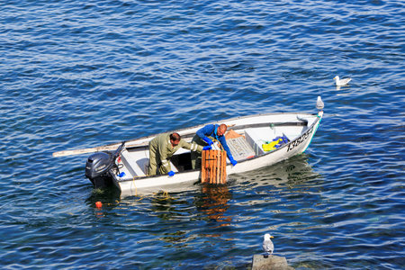 BONAVISTA, NEWFOUNDLAND AND LABRADOR, CANADA - JUNE 29, 2017.  Commercial atlantic canadian fish harvesters collecting atlantic lobster, taken on June 29 16, 2017 in Bonavista .のeditorial素材