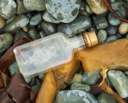 A plastic bottle washed up on the beach with the kelp and rocks.の写真素材