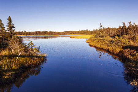 Three Corner Pond walking trail, Torbay, Newfoundland and Labrador, Canada. Autumn colors on a walking trail.の写真素材
