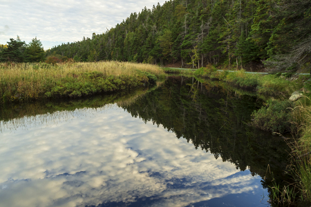 Manuels River walking trail, Conception Bay South, Newfoundland and Labrador, Canada. Autumn colors and reflections on the river trail.の写真素材