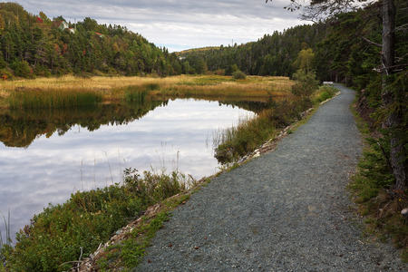 Manuels River walking trail, Conception Bay South, Newfoundland and Labrador, Canada. Autumn colors...