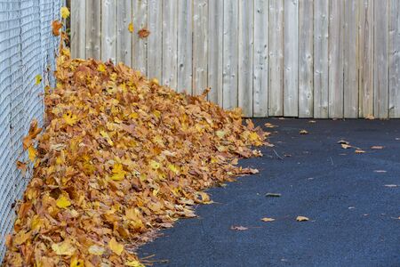 Autumn leaves collecting along a wire and wooden fence.の写真素材