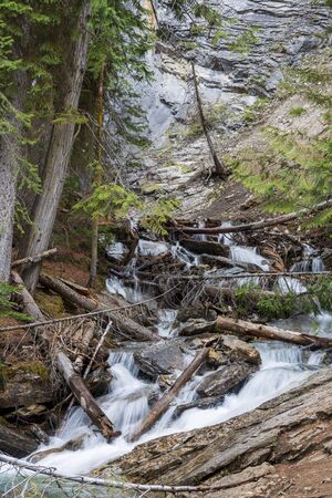Fallen trees in an alpine river, Rocky Mountains, Canada.の写真素材
