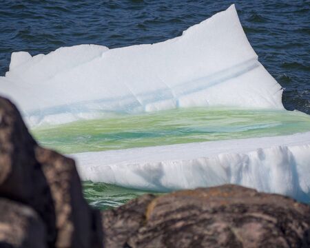 An iceberg along the Newfoundland coastline in summer, very popular with tourist.の写真素材