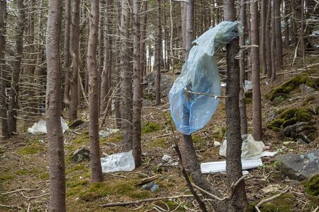 Waste abandoned in the woods, along a popular walking trail, showing the carbon footprint of humans.の写真素材