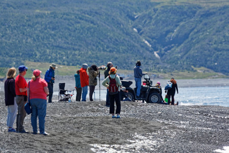 ST. VINCENTâS, NEWFOUNDLAND AND LABRADOR, CANADA - July 8, 2020.  People watching the caplin rolling at the beach, taken on July 8, 2020, in St. Vincentâs.のeditorial素材