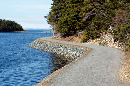 Walking path along the Manuels River.の写真素材