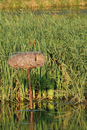 Waterfowl nesting cylinder or hen house in a wetland.の写真素材