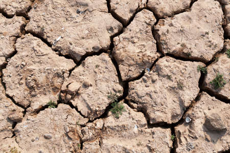 Lake bed drying up due to drought