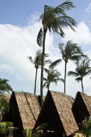 hut on the beach of tropical islandの写真素材