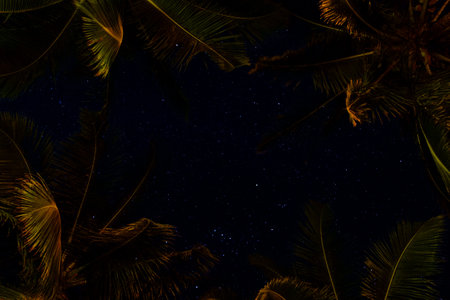 With no light pollution, the stars can cleary be seen behind the coconut trees in Kalpitiya, Sri...