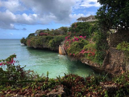 A small bay in Kenya surrounded by rocks and plant life.の写真素材