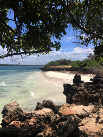 A secluded beach with rocks and trees in the foreground.の写真素材