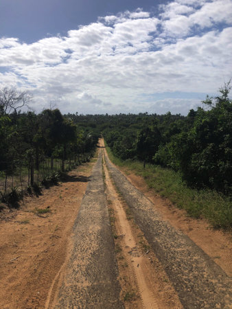 A dirt road in Kenya leading to the horizon.の写真素材