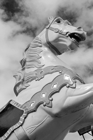 prancing horseの写真素材