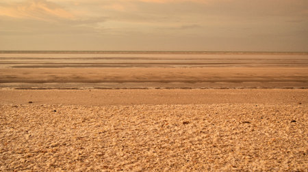 Sea Shells at Eighty Mile Beach, Western Australiaのeditorial素材