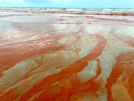 Red Ocean at Cable Beach, Broome Western Australiaのeditorial素材