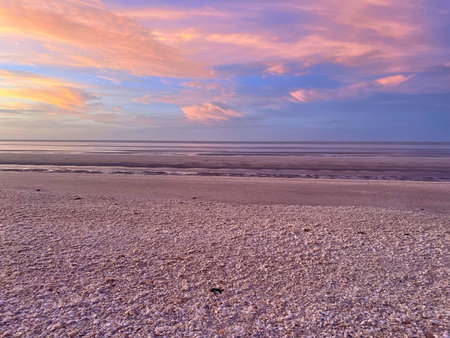 Shells at Eighty Mile Beach, Western Australiaのeditorial素材