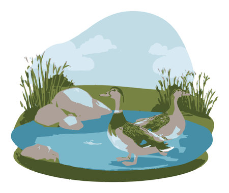 Enjoy this charming flat vector illustration showcasing ducks gracefully swimming in a peaceful pond. This serene scene features lush greenery and soft clouds, perfect for nature lovers.のイラスト素材