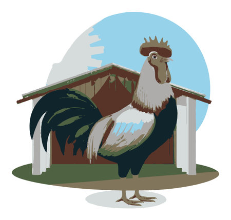 A vibrant vector illustration of a rooster standing proudly in front of a barn. It captures the essence of farm life with colorful details and a playful style.のイラスト素材