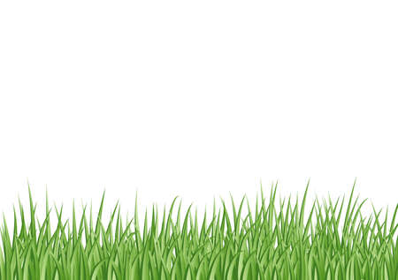 grass background のイラスト素材