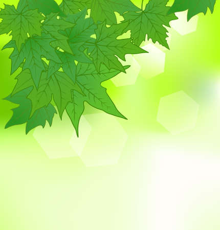 background wih green leaves のイラスト素材