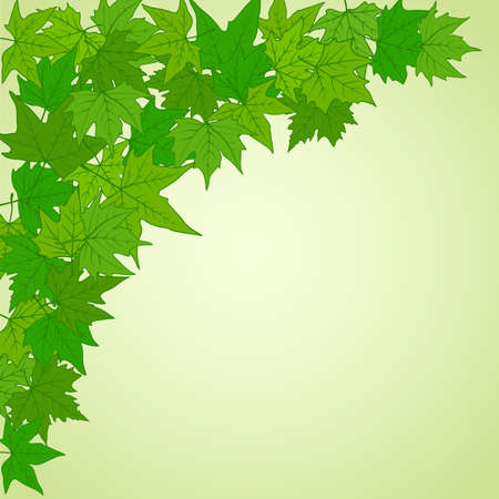 natural background with green leaves のイラスト素材