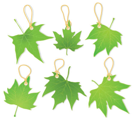 leaves as labelsのイラスト素材