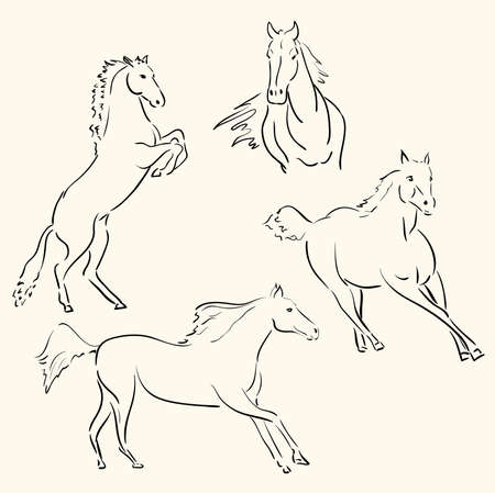 horses line art のイラスト素材