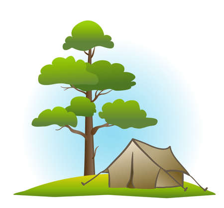 pine and tent on whiteのイラスト素材