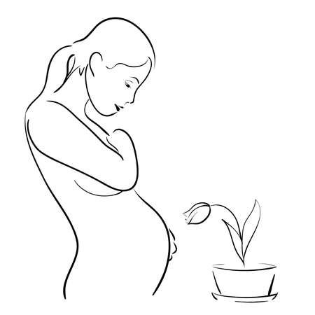 pregnant woman and a tulipのイラスト素材