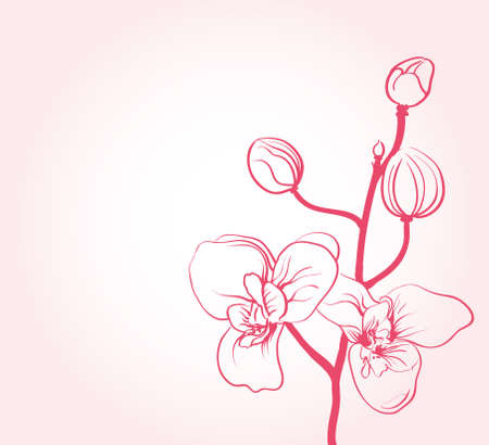sakura flowers のイラスト素材