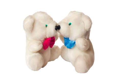 baby bears isolated on whiteの写真素材