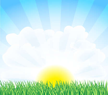 sunny landscape with green grassのイラスト素材