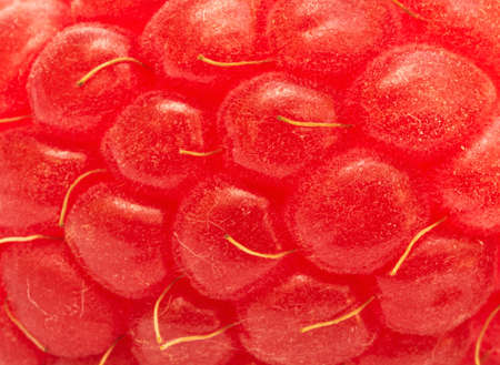 fresh raspberry extreme close-up as backgroundの写真素材