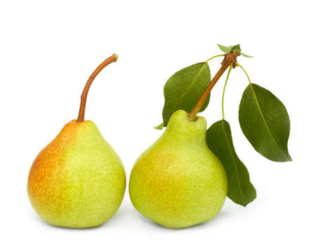 two pears on white backgroundの写真素材