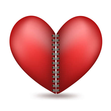 heart shaped in two halfs with a binderのイラスト素材